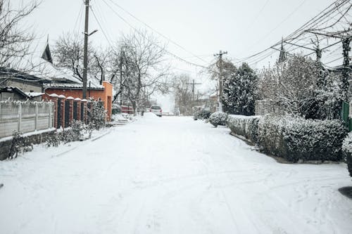 Ilmainen kuvapankkikuva tunnisteilla flunssa, katu, lumen peitossa