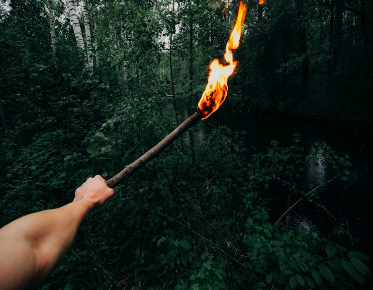 Hand Holding Torch In Forest