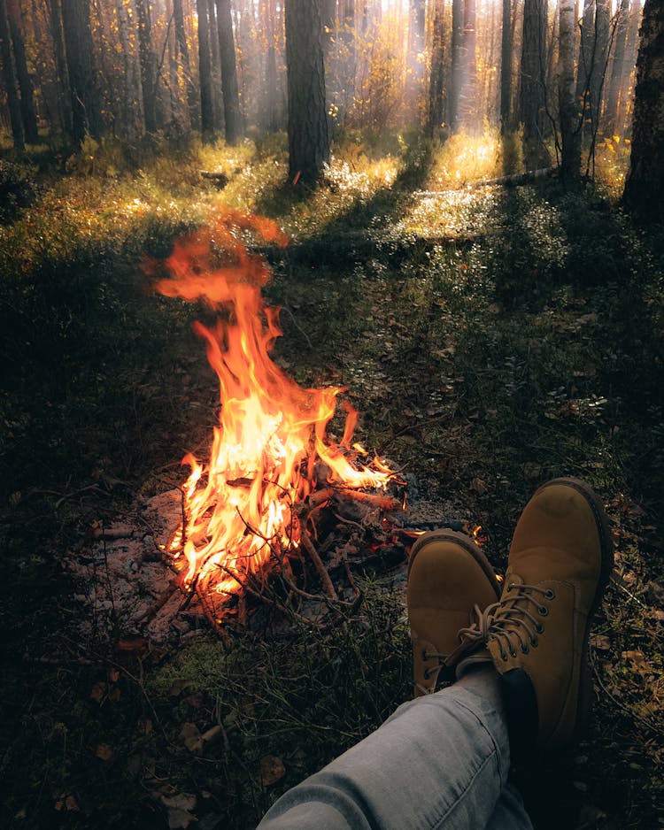 First Person View Of Campfire In Forest