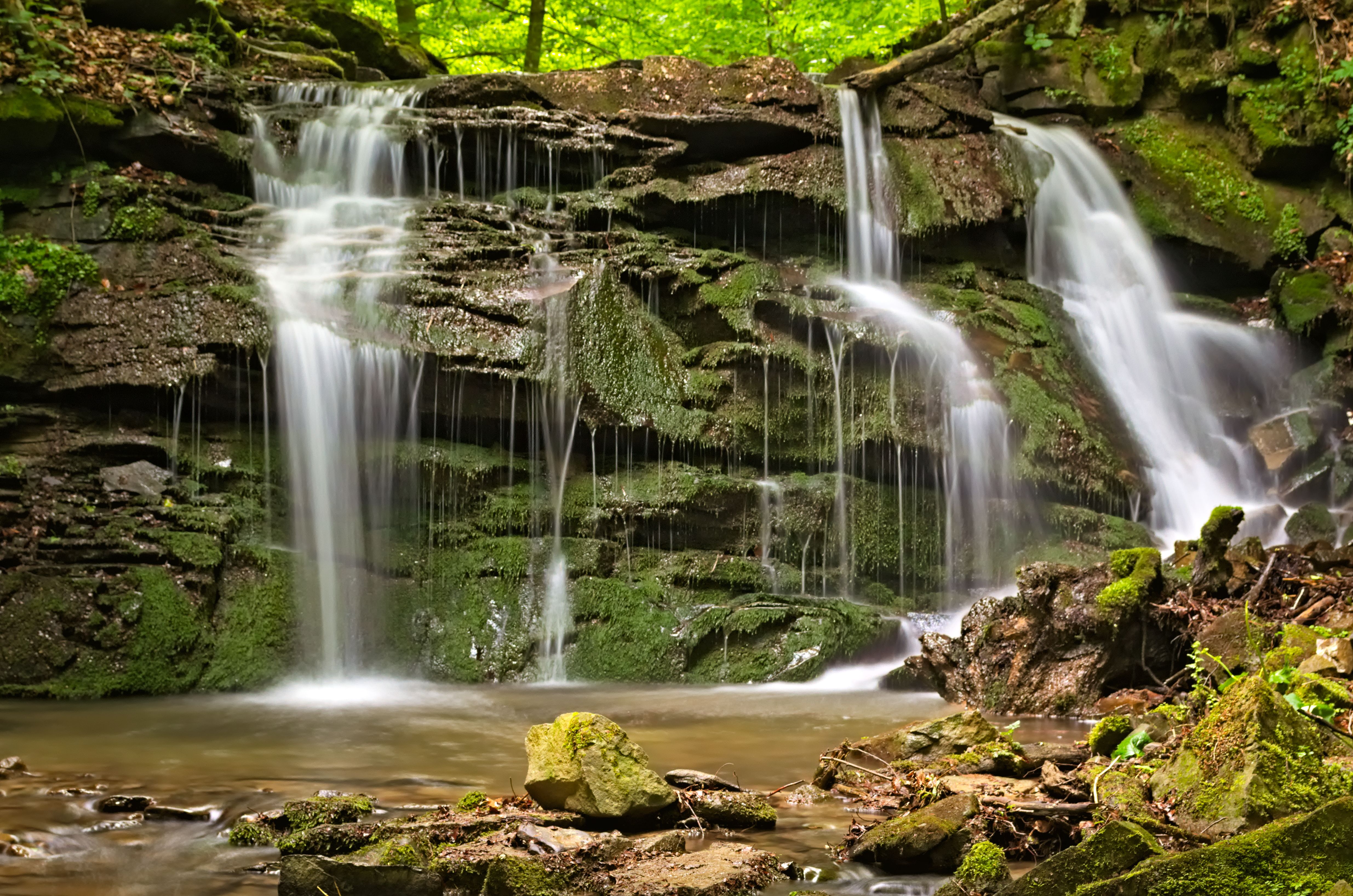 Close-Up Shot of Waterfalls on the Mossy Rocks · Free Stock Photo