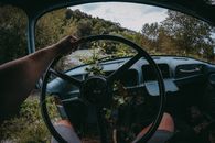 Person Holding Black Steering Wheel