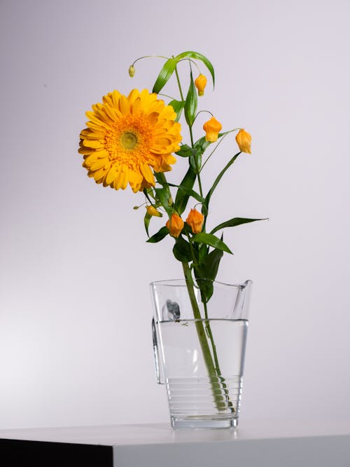 Gratis lagerfoto af blomsterfotografering, blomstrende, glas vas Lagerfoto