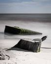 Green and Brown Wood Log on Beach