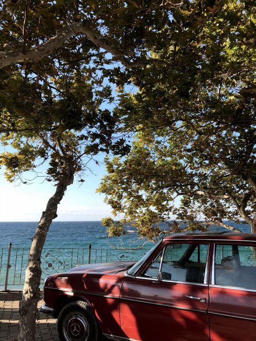 Free Classic vintage car parked under leafy trees by the ocean on a sunny day. Stock Photo