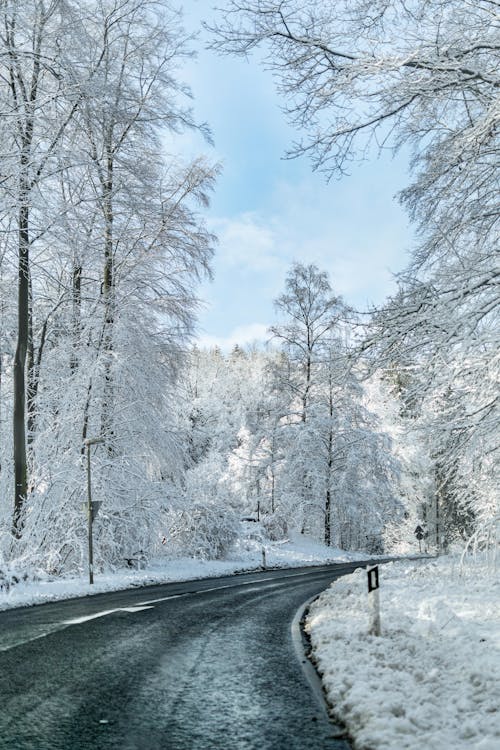 
A Road during Winter