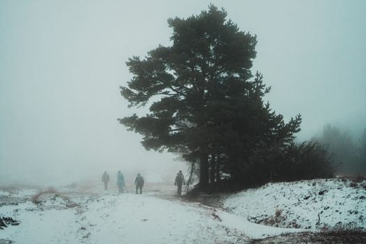 People on a Snow Covered Field