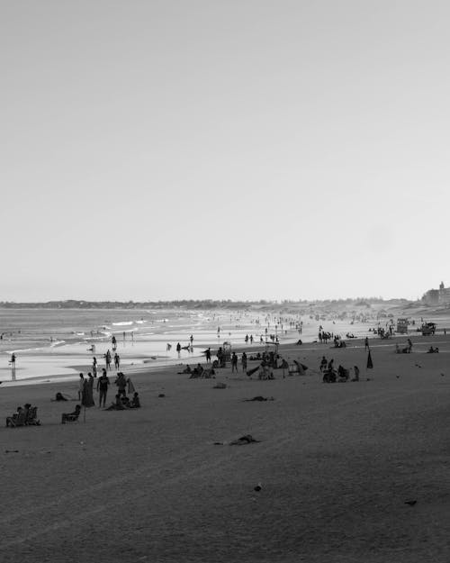 Free Grayscale Photo of People on the Beach Stock Photo