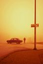 Man Standing Beside Brown Car Near Stop Sign