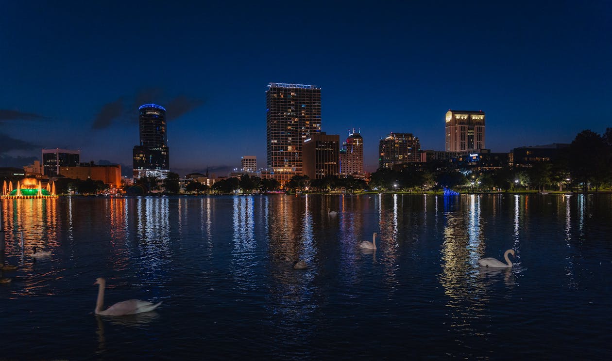 Free Swans in the Lake Eola Park at Night Stock Photo