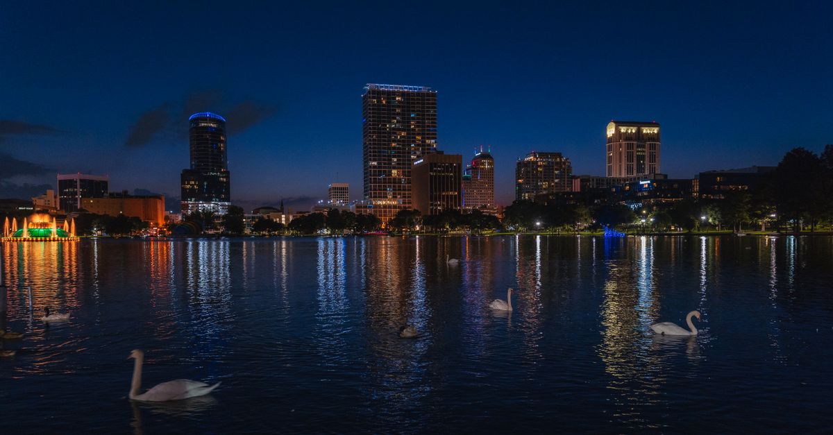 Night view of Orlando skyline reflecting on Lake Eola with swans gracefully swimming.