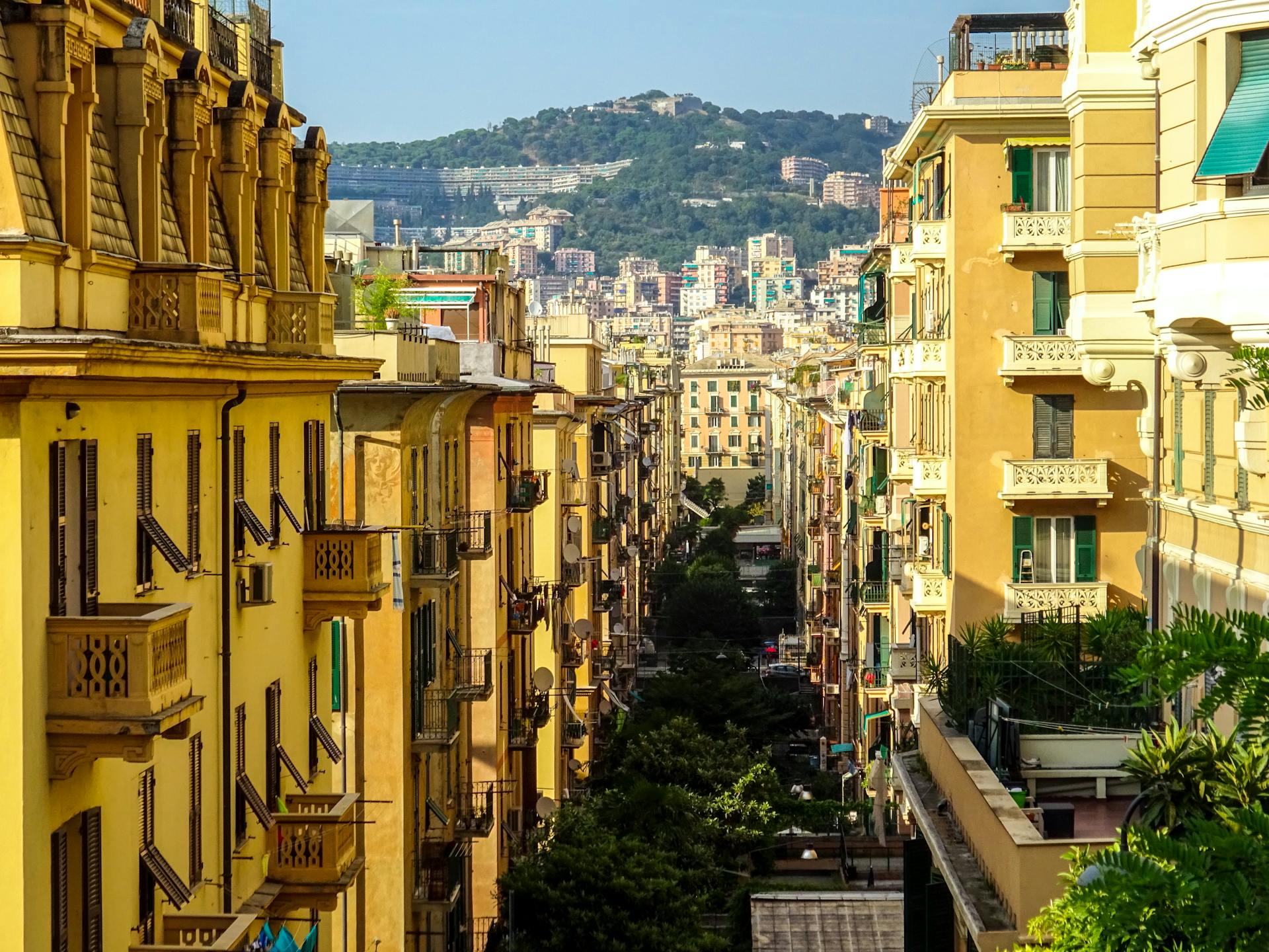 A vibrant street view in Genova, Liguria showcasing architectural details and lush greenery.