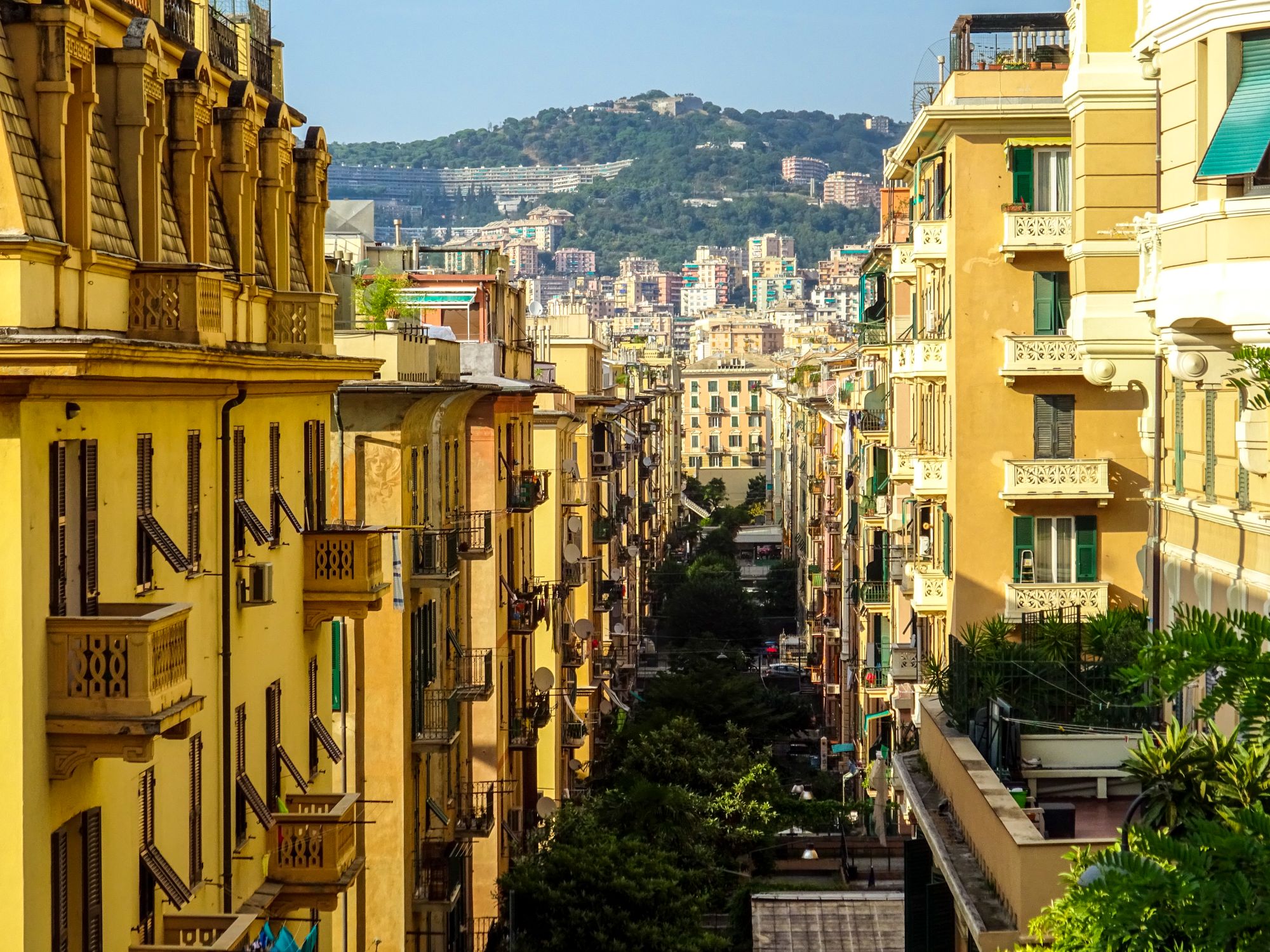 Genoa