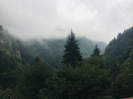 Serene view of misty mountains and dense forested valleys under overcast skies.