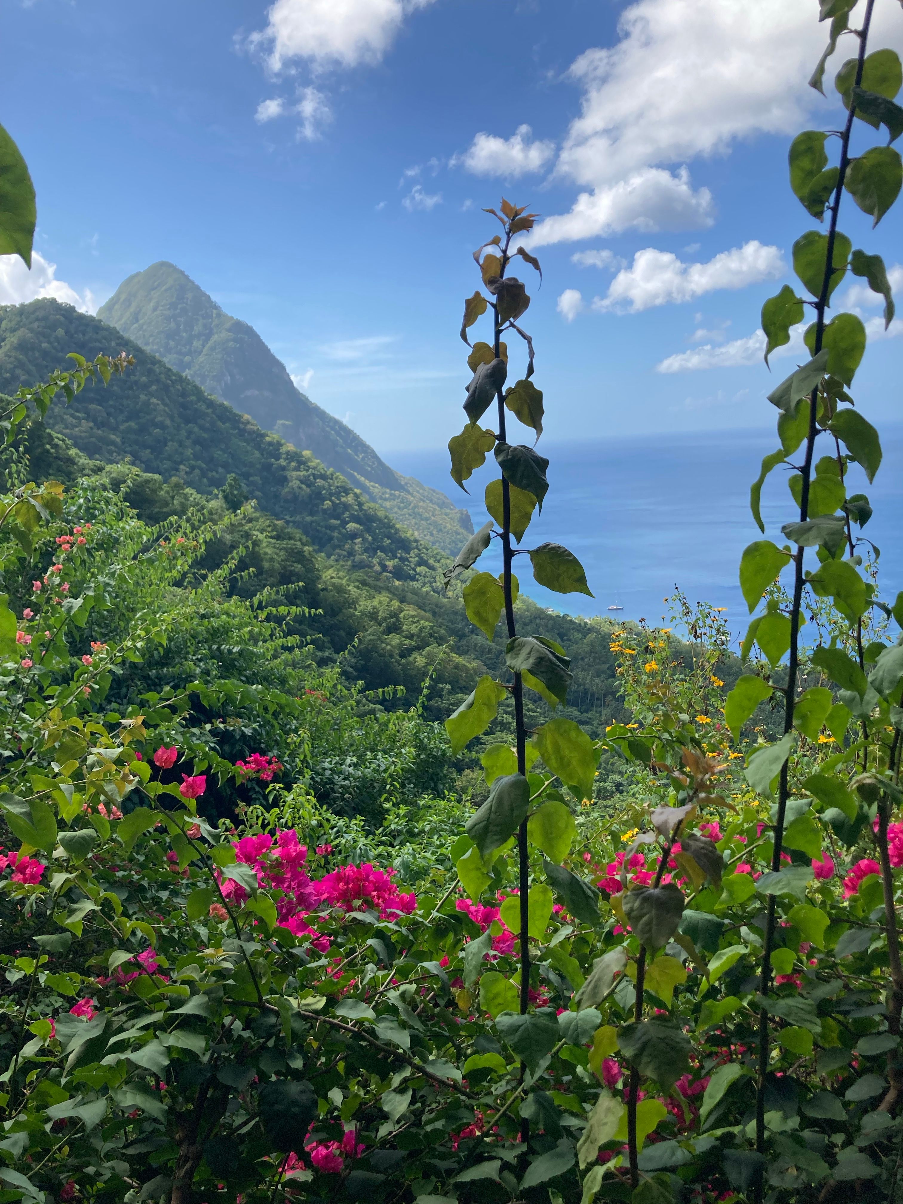 Lush greenery and vibrant flowers framing the Pitons with ocean views in Saint Lucia.