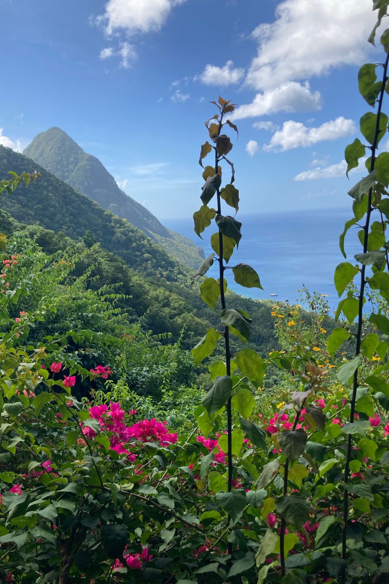 Lush greenery and vibrant flowers framing the Pitons with ocean views in Saint Lucia.
