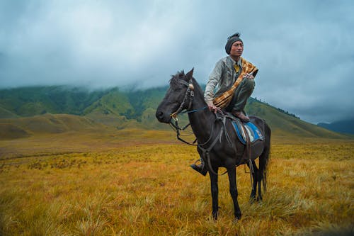 Photography of a Person Riding a Horse