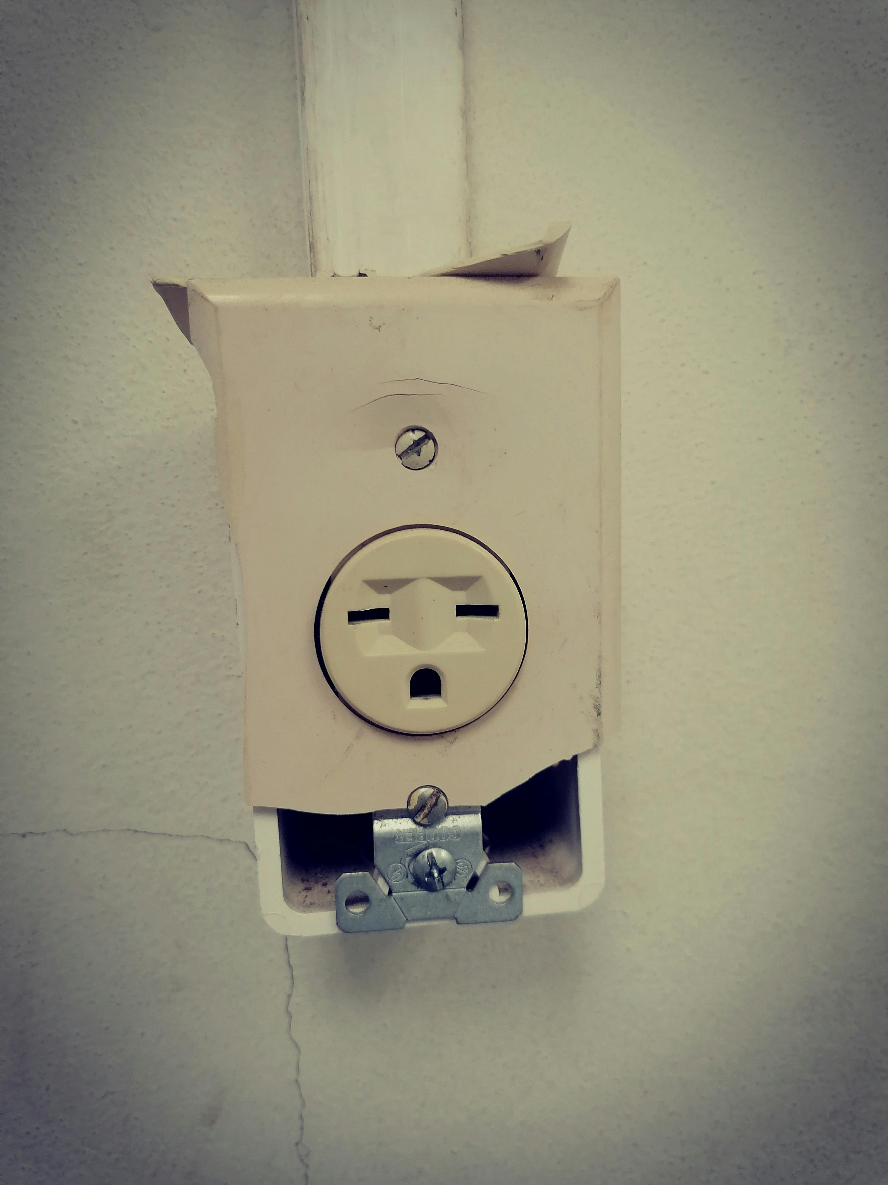 Món su hào xào mực khô đặc sản Bát Tràng