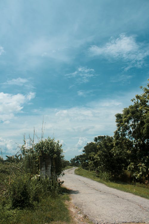 A Road Under the Blue Sky