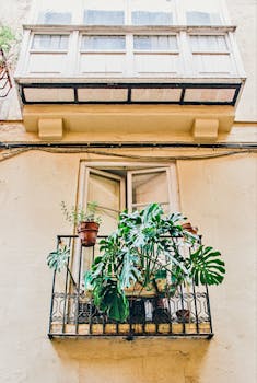 西班牙乔巴风景如画的阳台上，优雅的建筑立面装饰着充满活力的绿色植物