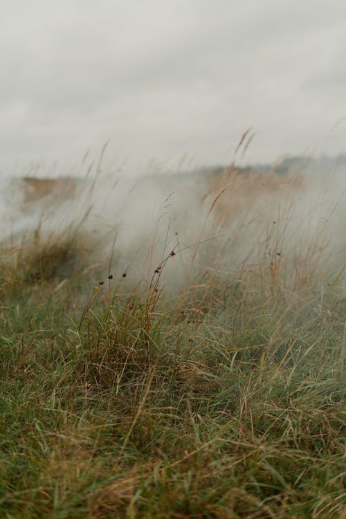 Základová fotografie zdarma na téma bílá obloha, kouř, mlha