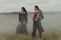 Free stock photo of accordion, adult, bohemian