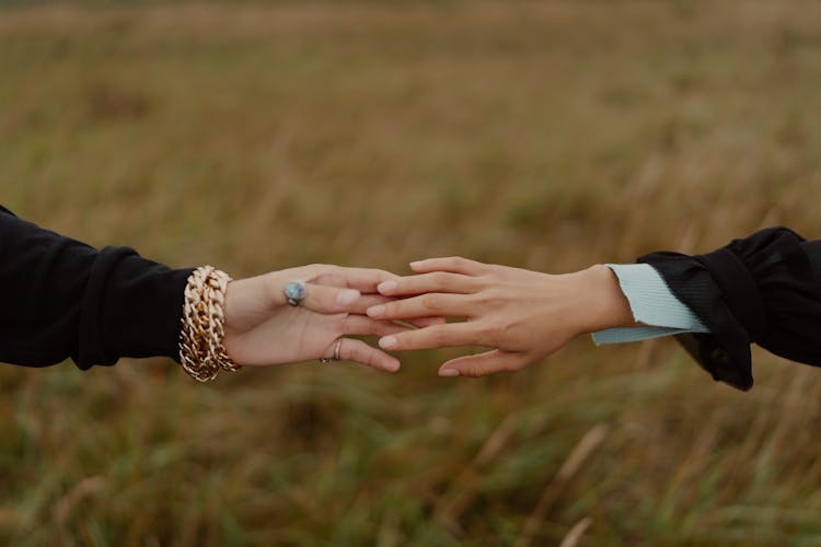 Women Hands Reaching And Touching On Meadow