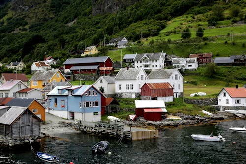 Village Near Body Of Water 