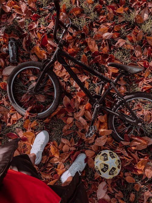 Free A Person Standing Beside a Black Bicycle Lying on Brown Dried Leaves Stock Photo