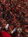 Black Bicycle on Brown Dried Leaves