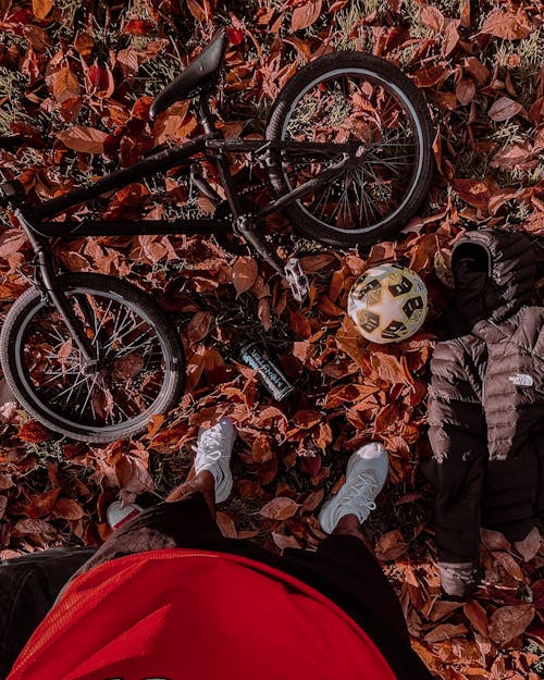 Free A Person Standing Beside a Black Bicycle Lying on Brown Dried Leaves
 Stock Photo