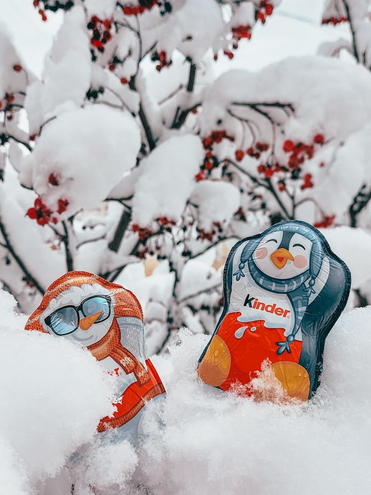 Delicious Kinder Candies On Snow Beside A Red Berry Tree