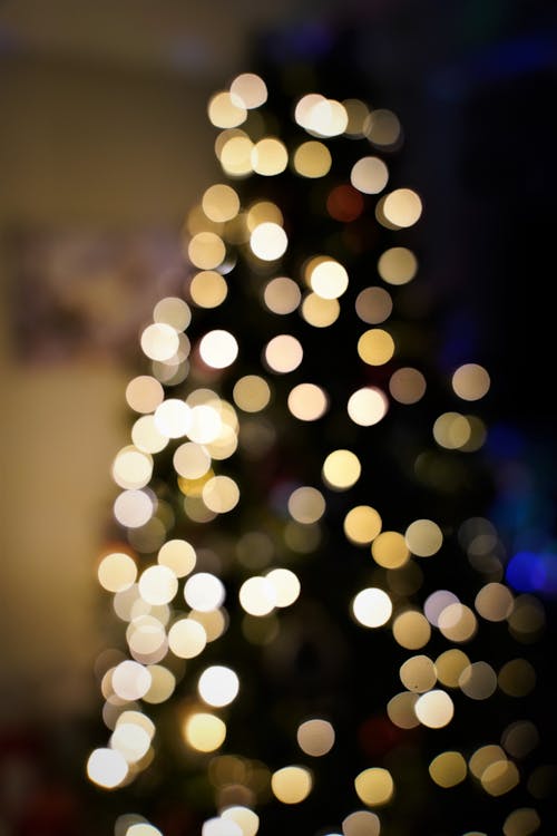 Blurry Photo of a Christmas Tree