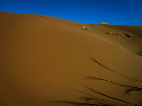 Foto stok gratis gurun pasir