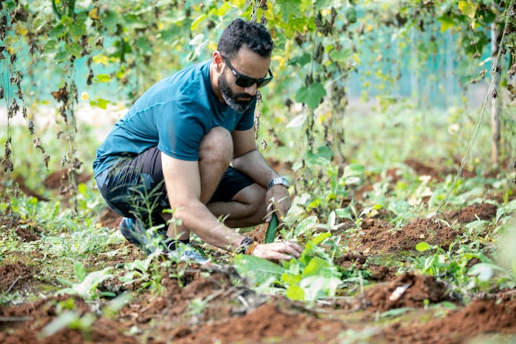 Man Planting In Garden