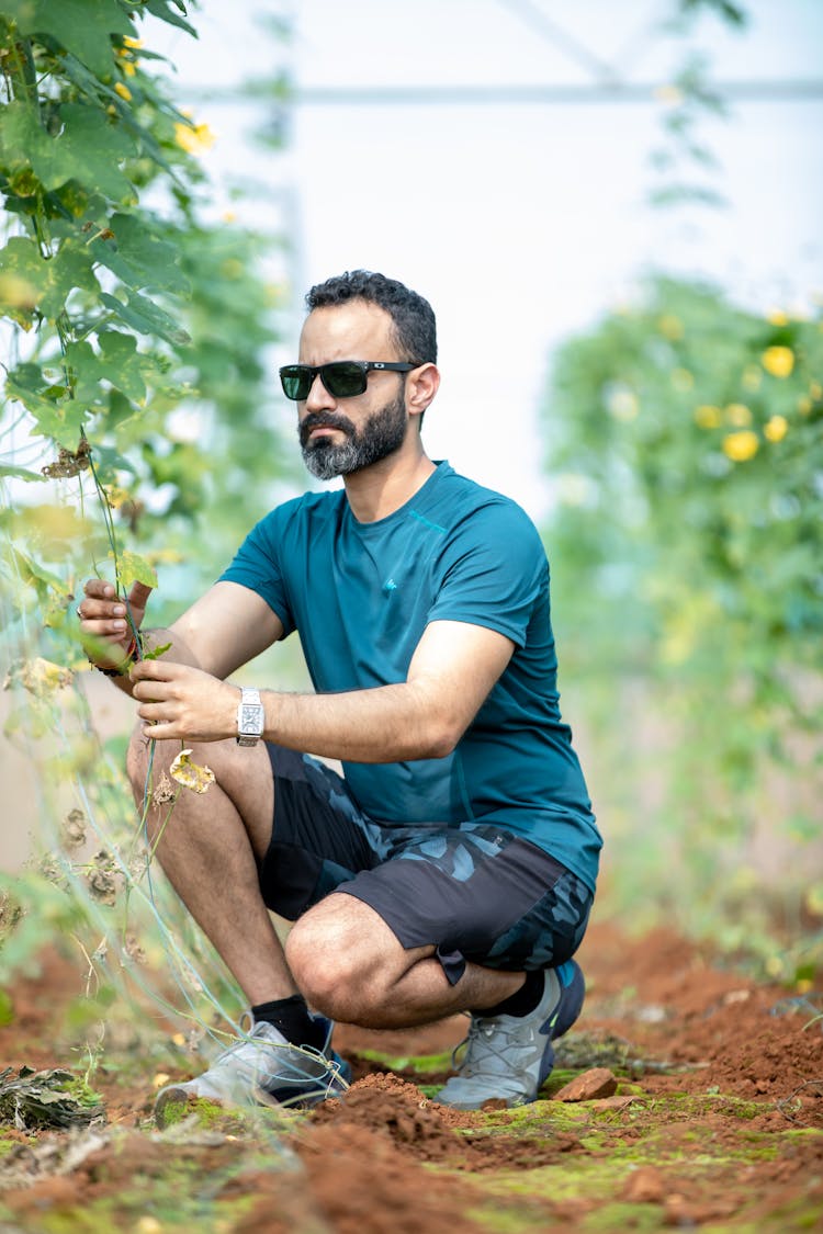 Man Harvesting Plants On Farm