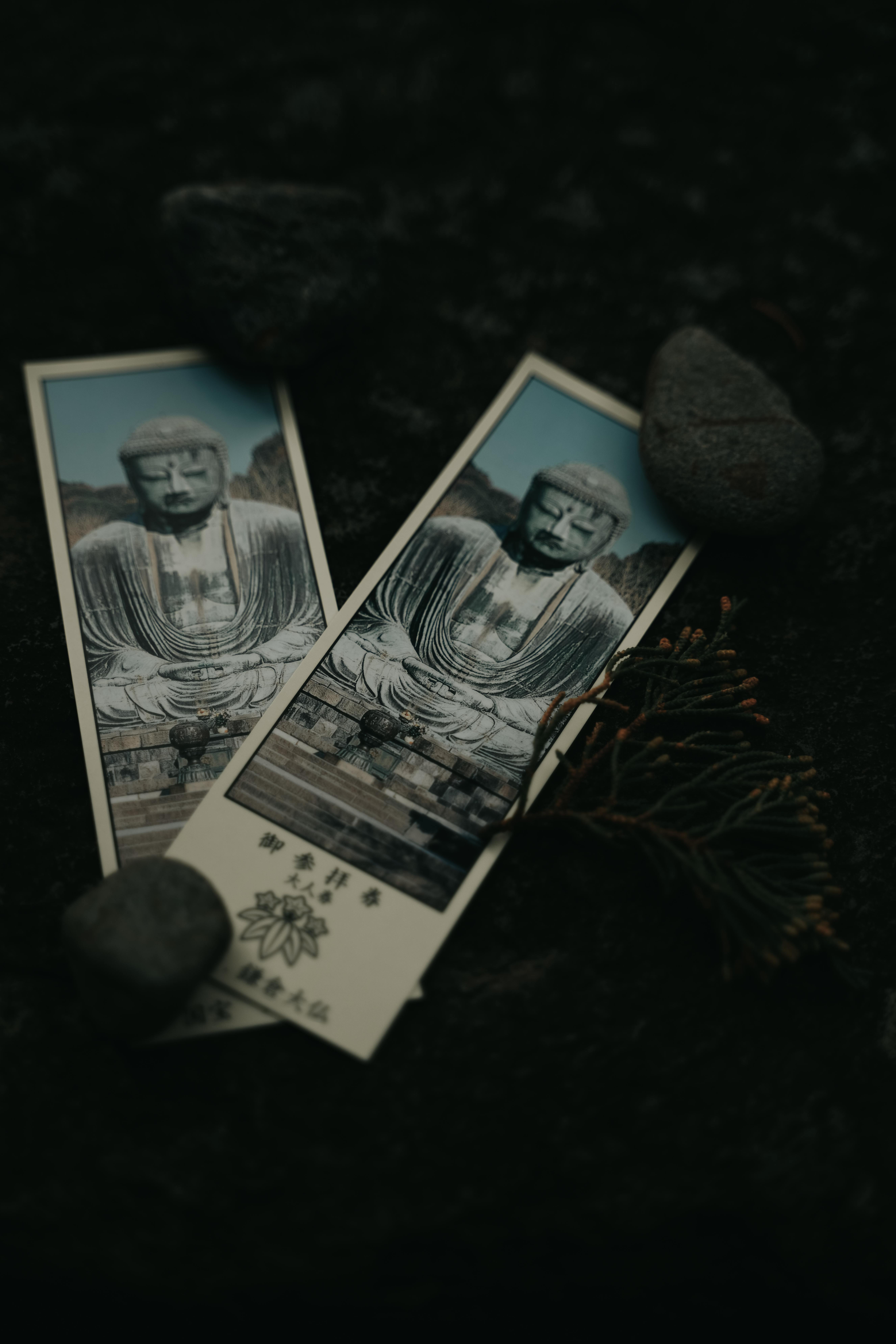 Gratuit Imagine de stoc gratuită din a închide, abstract, arbore japonez Fotografie de stoc