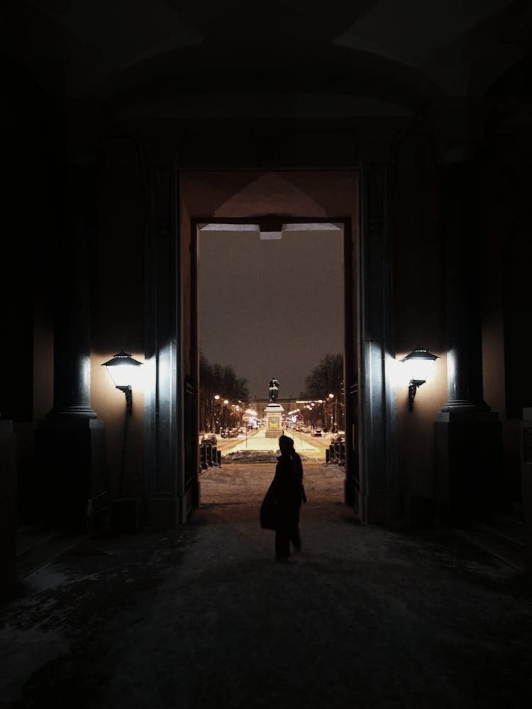 Silhouette Of Person In Gate