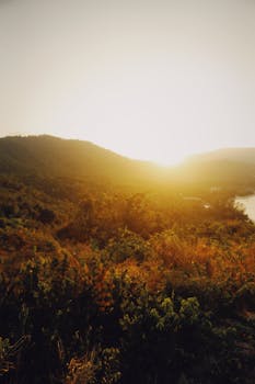 Golden sunrise illuminating lush green mountains and serene landscape.