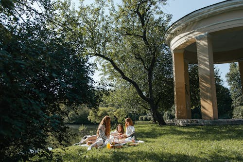 Women Having a Picnic in a Park