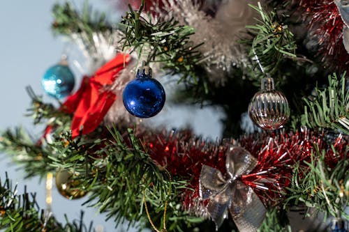 Free Blue Baubles on Green Christmas Tree Stock Photo