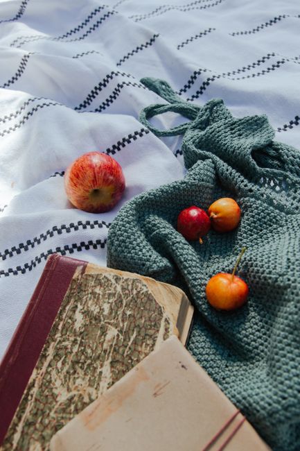 A warm picnic scene with apples, books, and a textured blanket, ideal for relaxation.