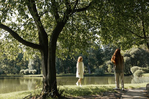 公園, 女性, 棕髮 的 免费素材图片