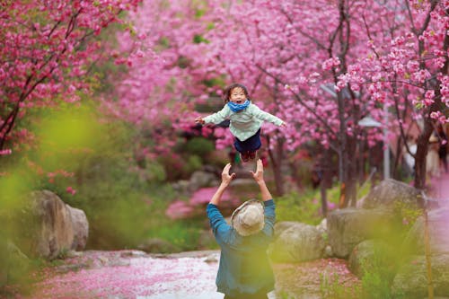 Kostnadsfri bild av asiatisk tjej, barn, blomning
