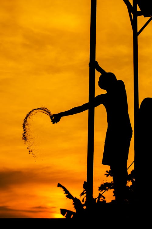 Silhouette of Person Standing on a Concrete Wall while Throwing a Cup of Water Under Golden Sky