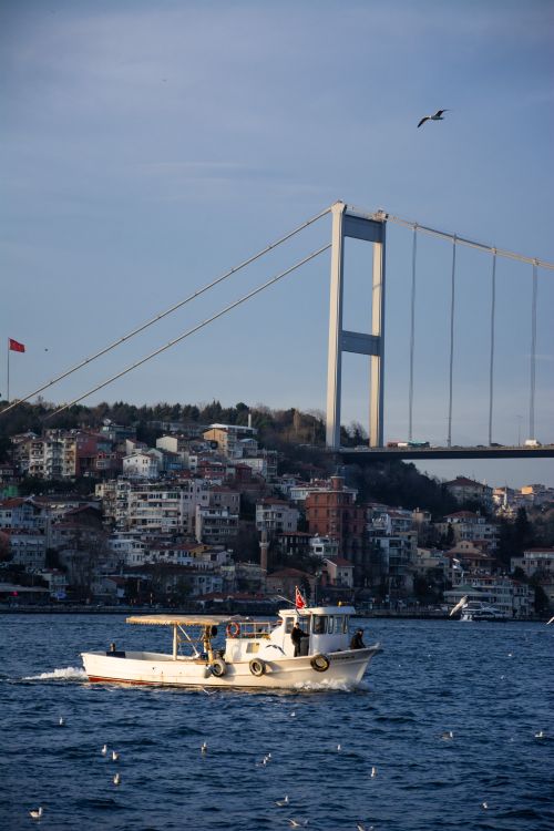 Free A small boat sails under the Bosphorus Bridge in Istanbul, with seagulls flying overhead. Stock Photo