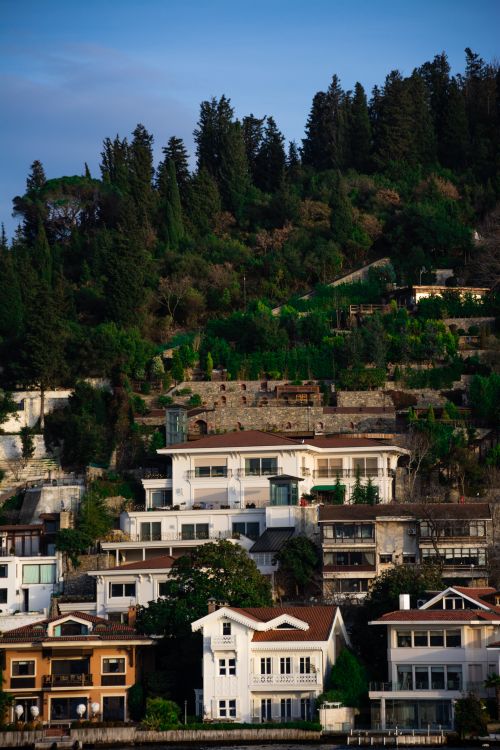 Free Picturesque hillside community surrounded by lush trees and quaint buildings, ideal for scenic views. Stock Photo