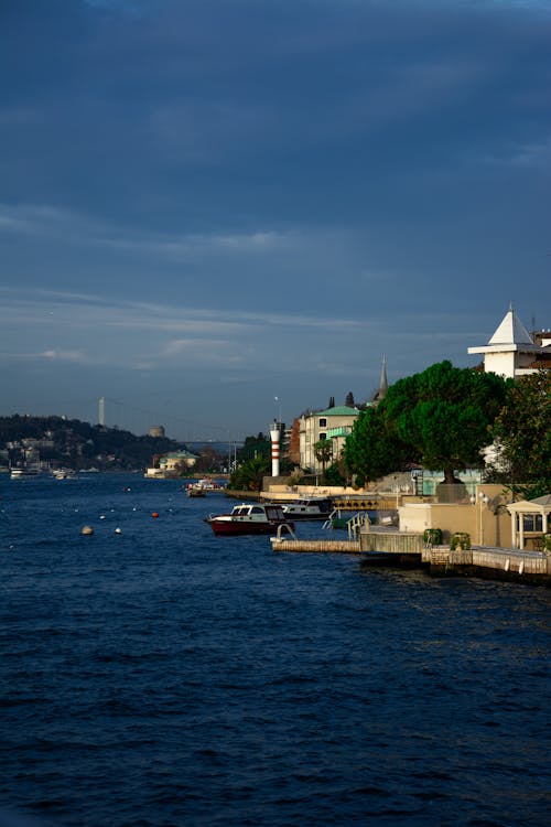 Gratis stockfoto met bosphorus, Istanbul, kalkoen