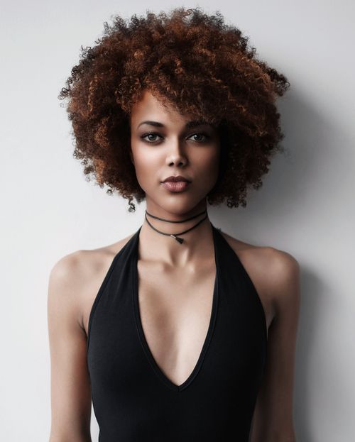 Free Striking portrait of a woman with an afro, showcasing beauty and confidence in a studio setting. Stock Photo