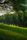park background