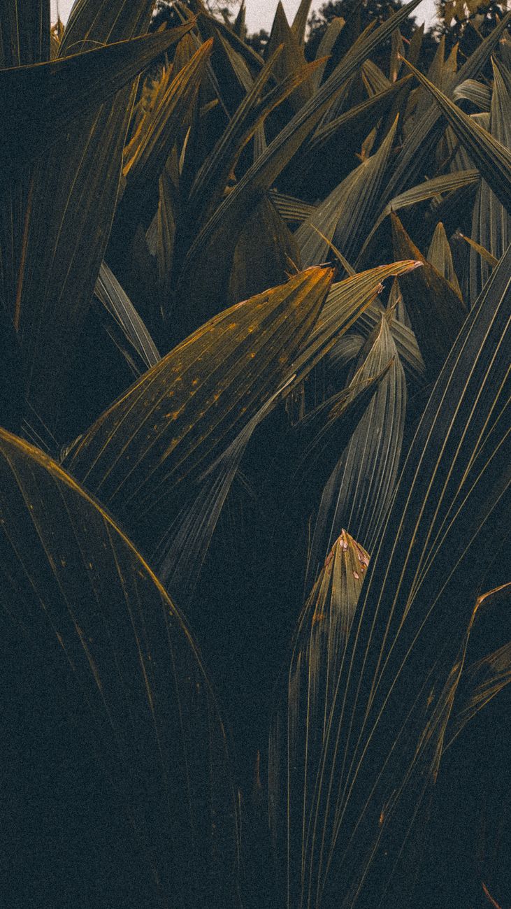 Vertical shot of vibrant tropical leaves with a dark green hue, creating a natural texture.